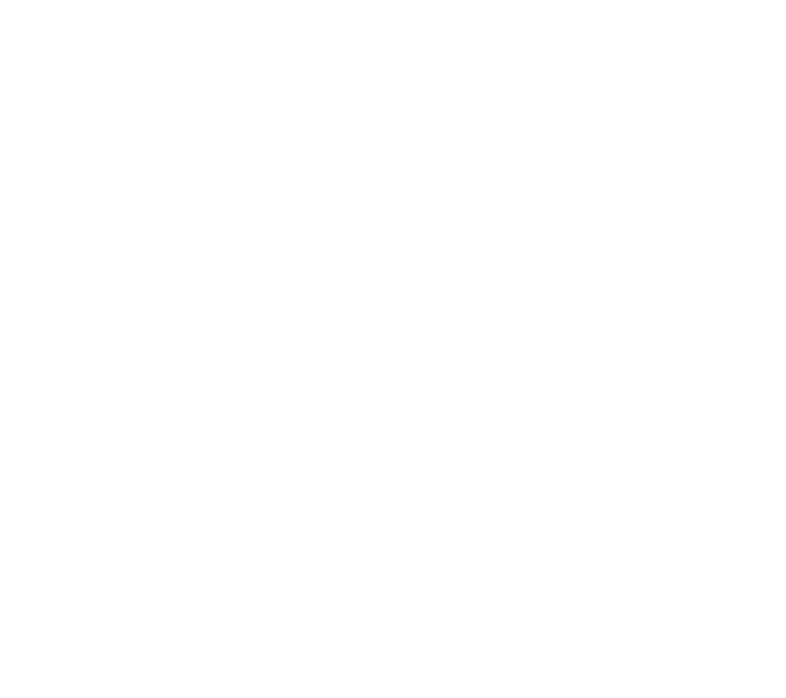 コレクターマグ