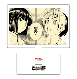 ヒカルの碁