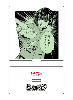 ヒカルの碁