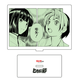 ヒカルの碁